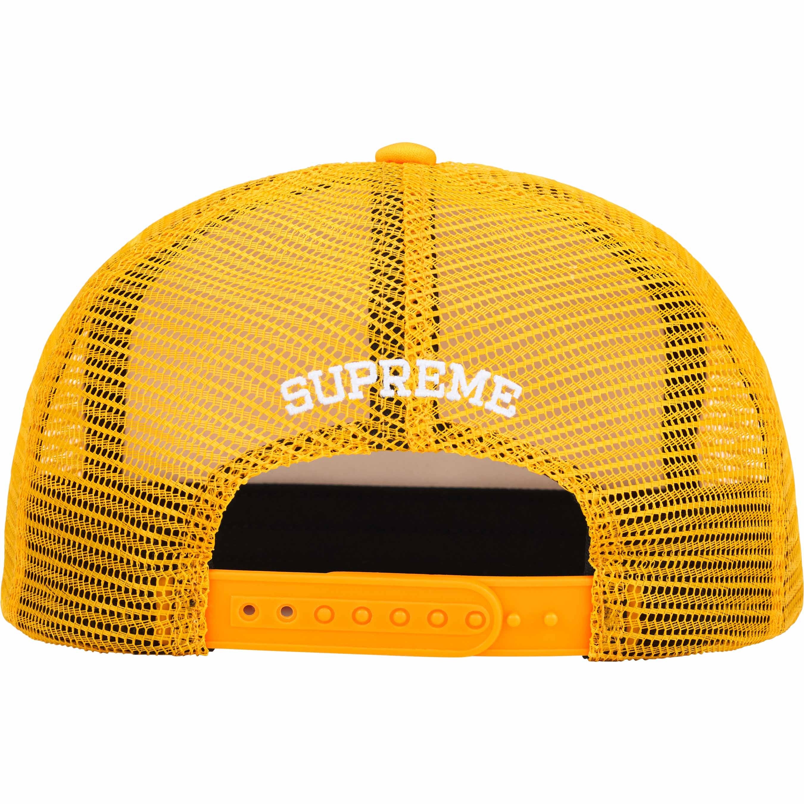 Gradient Mesh Back 5-Panel view 5